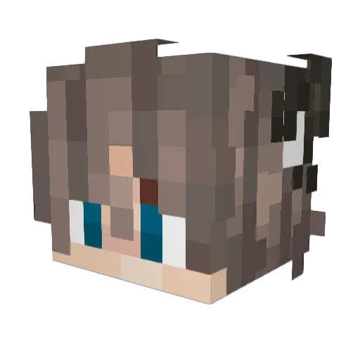 Nord_Kaiser Minecraft avatar head, 3D render