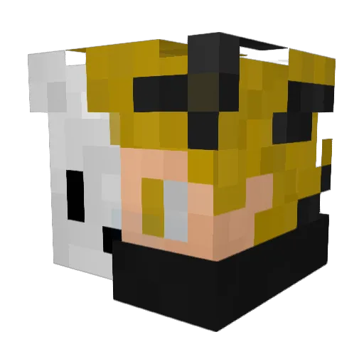 Nordbaer Minecraft avatar head, 3D render