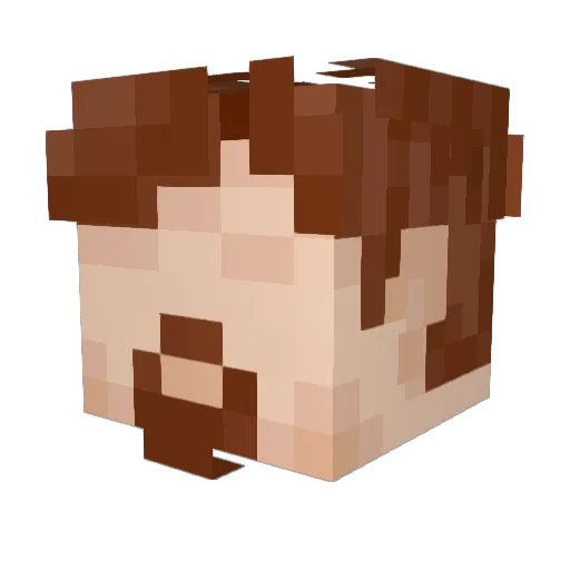 Nordwain_ Minecraft avatar head, 3D render