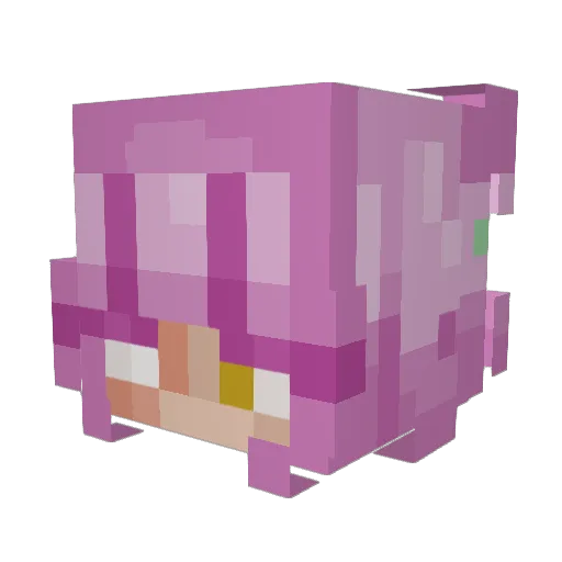 NorenWasHere Minecraft avatar head, 3D render