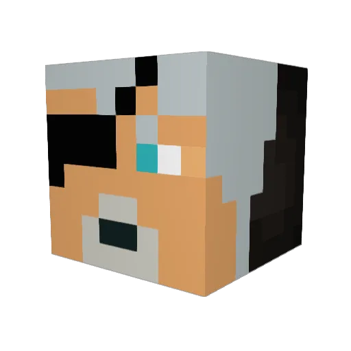 Norferion Minecraft avatar head, 3D render