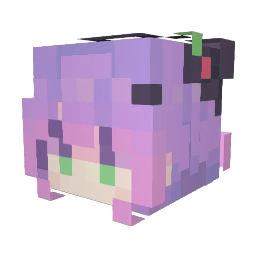 NoriZC Minecraft avatar head, 3D render
