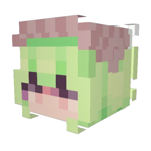 Nori_idk Minecraft avatar head, 3D render