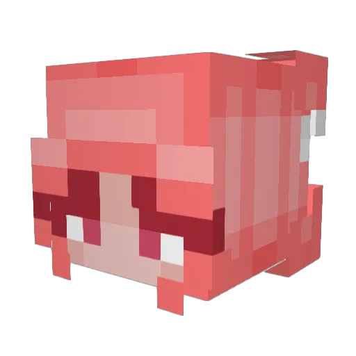 Norify Minecraft avatar head, 3D render