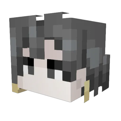 Norinco0 Minecraft avatar head, 3D render