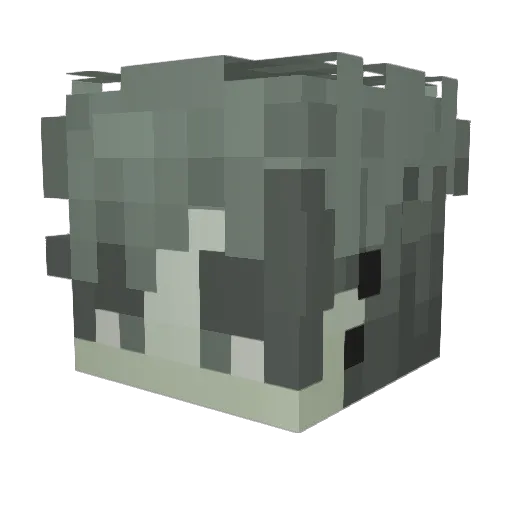 Norleux Minecraft avatar head, 3D render