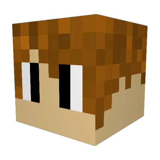 Normal99 Minecraft avatar head, 3D render