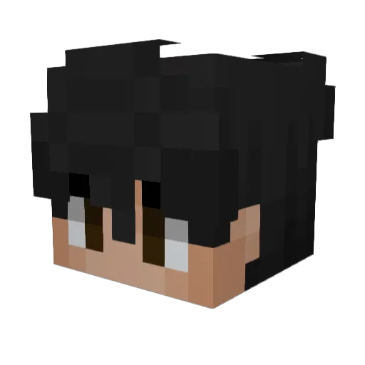NormalSquiddy Minecraft avatar head, 3D render