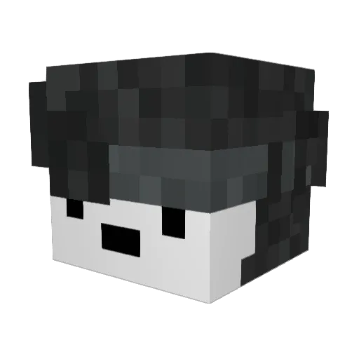 Normalo24 Minecraft avatar head, 3D render