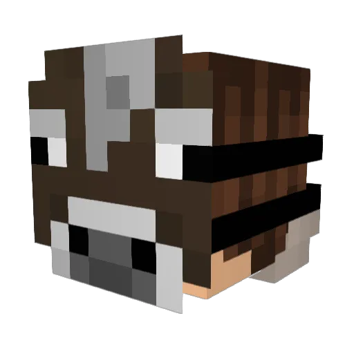 Nornal_Person Minecraft avatar head, 3D render