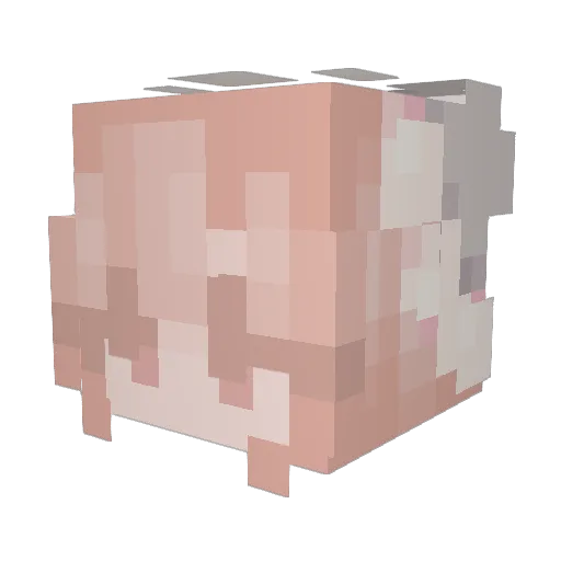 Noronha2001 Minecraft avatar head, 3D render