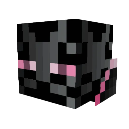 Norppaaa Minecraft avatar head, 3D render