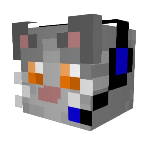 Norris_plz Minecraft avatar head, 3D render