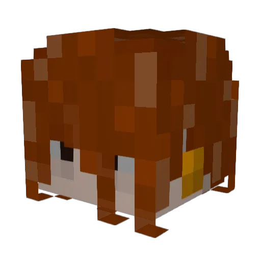 NorrissIsTaken Minecraft avatar head, 3D render