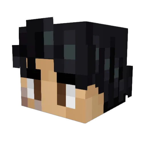 Norski06 Minecraft avatar head, 3D render