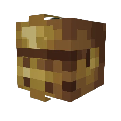 NorthBlight Minecraft avatar head, 3D render