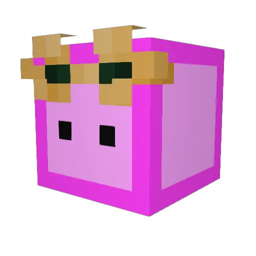 NorthBrooke Minecraft avatar head, 3D render