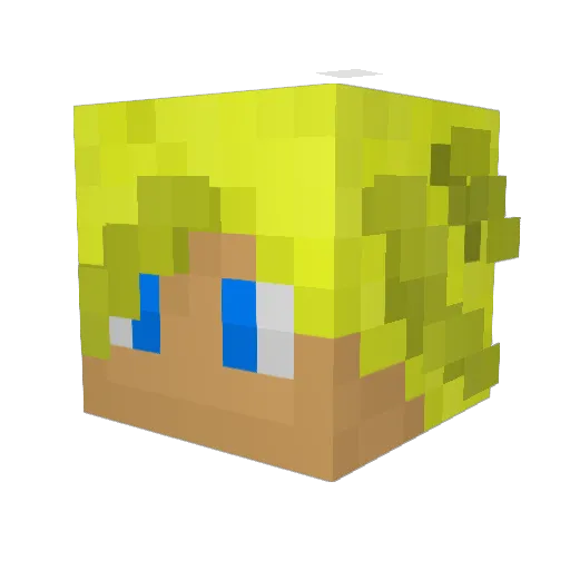 NorthHunter_ Minecraft avatar head, 3D render