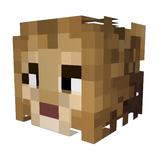 NorthLion25 Minecraft avatar head, 3D render