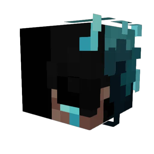 NorthPlace Minecraft avatar head, 3D render