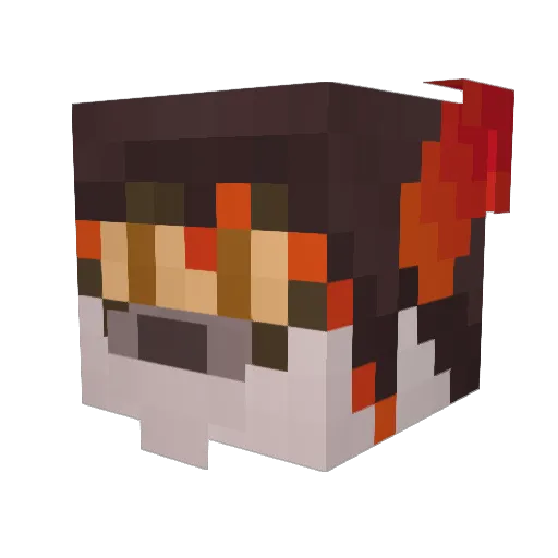 NorthPlaneDragon Minecraft avatar head, 3D render