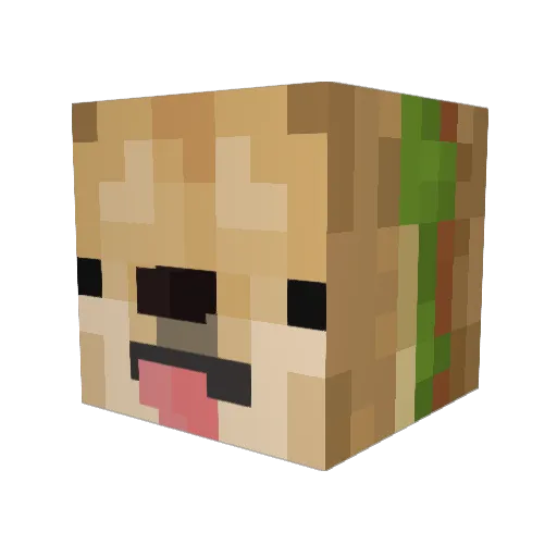NorthS_Z Minecraft avatar head, 3D render