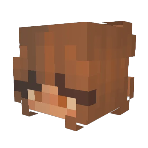 NorthUnix Minecraft avatar head, 3D render