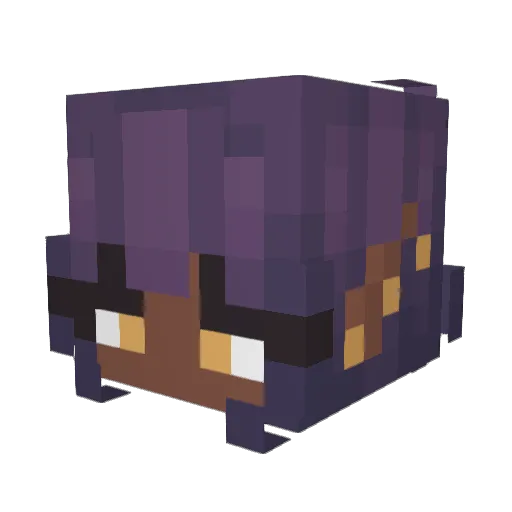 NorthYu Minecraft avatar head, 3D render