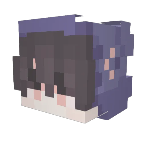 Northcoreya Minecraft avatar head, 3D render