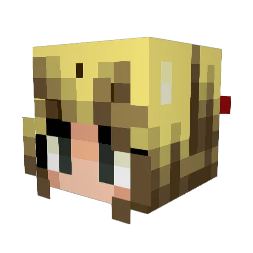 NorthenJoe Minecraft avatar head, 3D render