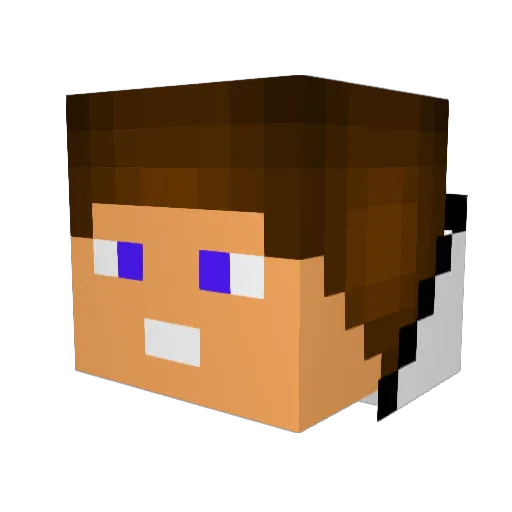 Northern42 Minecraft avatar head, 3D render