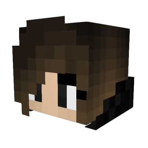 NorthernBird Minecraft avatar head, 3D render