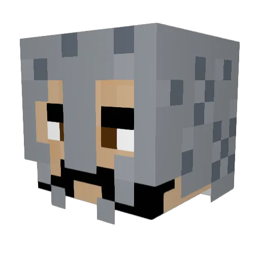 NorthernFury1 Minecraft avatar head, 3D render