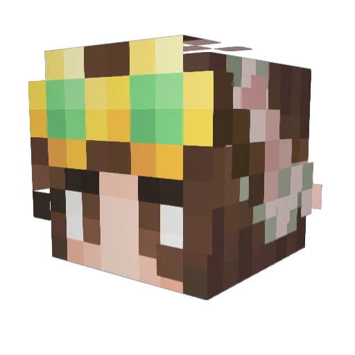 NorthernHorizons Minecraft avatar head, 3D render