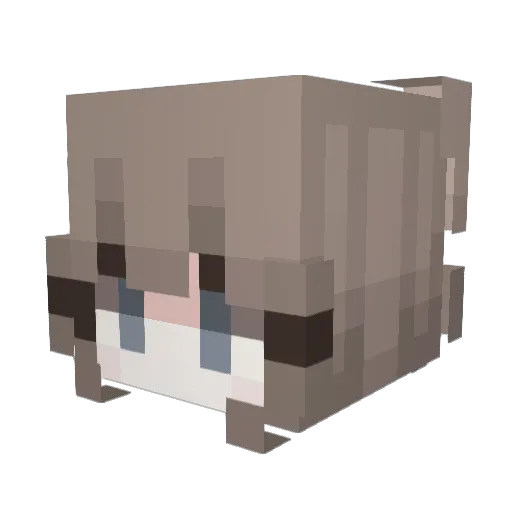 NorthernLotus55 Minecraft avatar head, 3D render