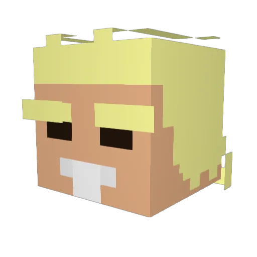 NorthernNips Minecraft avatar head, 3D render