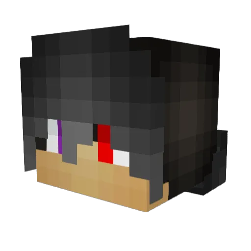 NorthernSoul01 Minecraft avatar head, 3D render