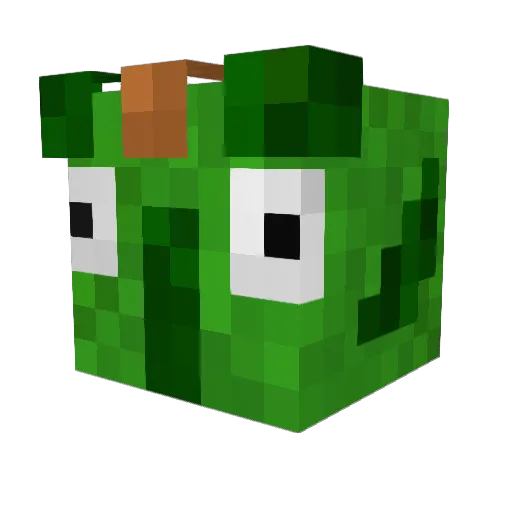 Northern_Allen Minecraft avatar head, 3D render