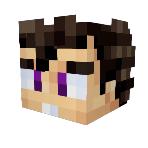 Northfytes Minecraft avatar head, 3D render