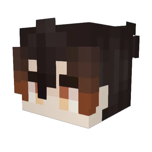 Northknight11 Minecraft avatar head, 3D render