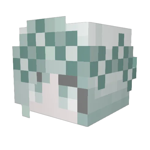 Northsmite Minecraft avatar head, 3D render