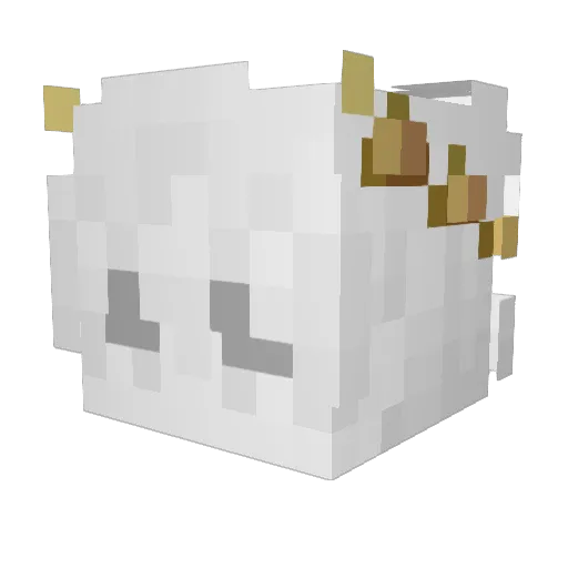 Northsx Minecraft avatar head, 3D render