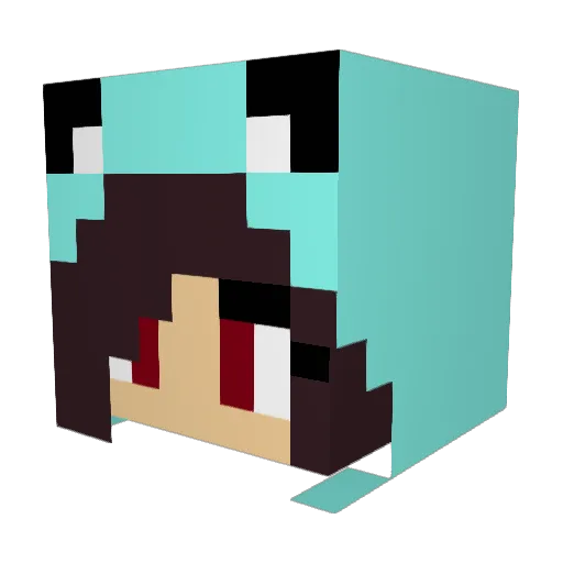 Northy_14 Minecraft avatar head, 3D render