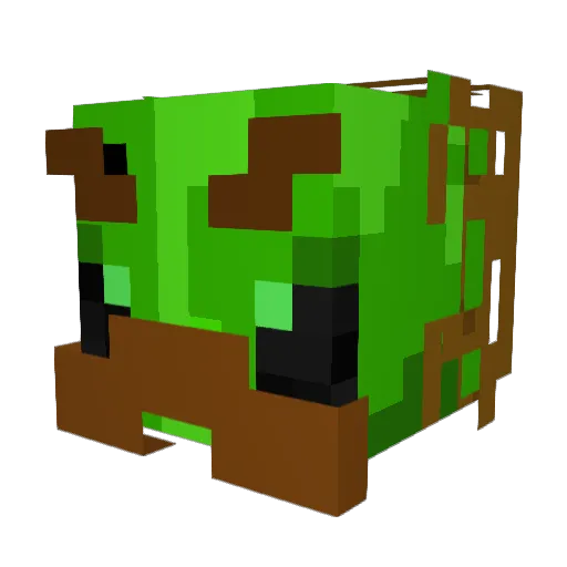 Noru55 Minecraft avatar head, 3D render