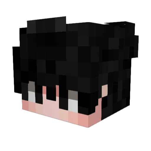 Norveren Minecraft avatar head, 3D render