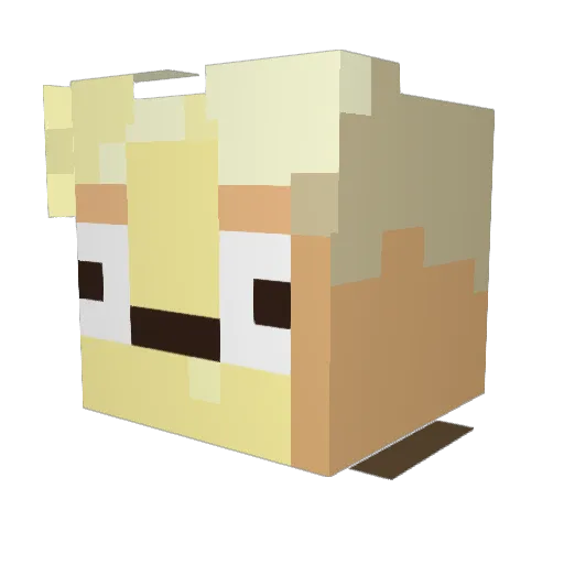 NorwegianEmpire Minecraft avatar head, 3D render