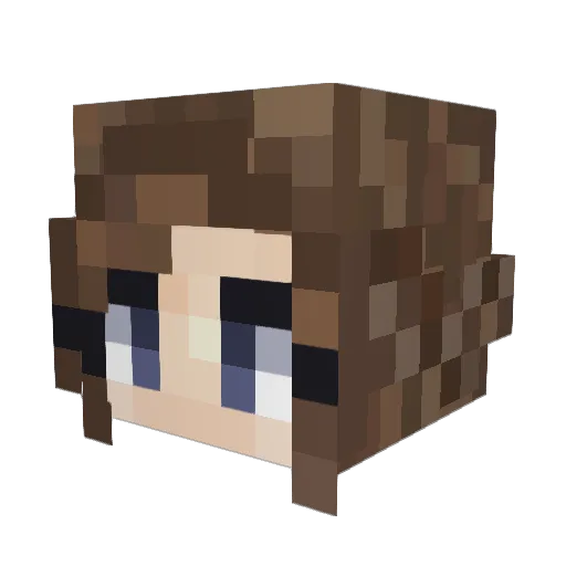 NorwegianTaco Minecraft avatar head, 3D render