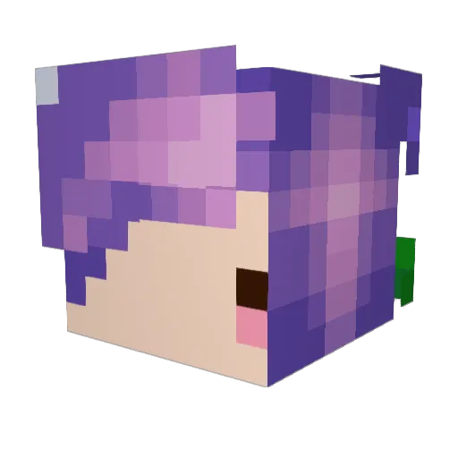 Norwheel_ Minecraft avatar head, 3D render