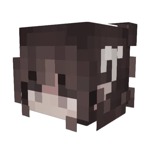 Noryyypoo Minecraft avatar head, 3D render