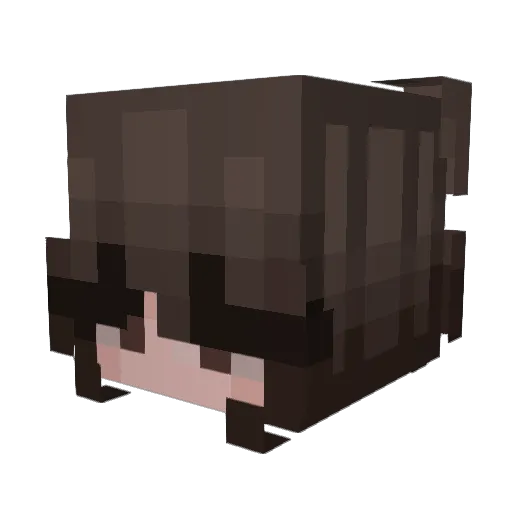 Norze Minecraft avatar head, 3D render